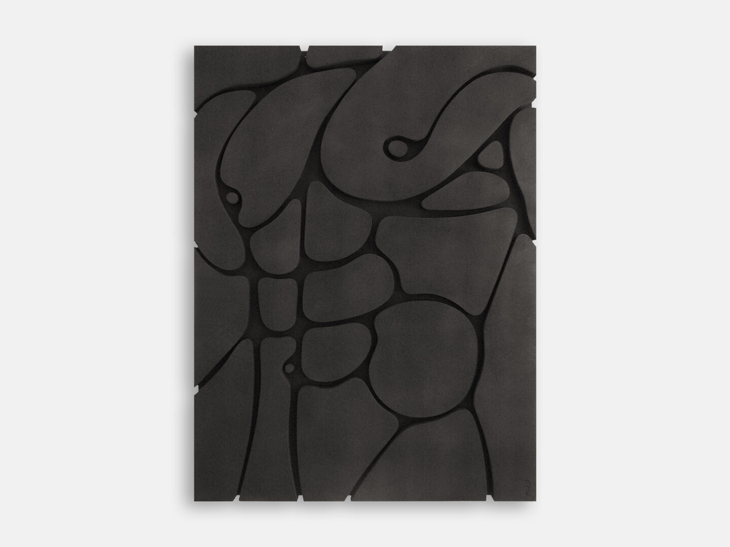 Male torso | Merian van Rooijen